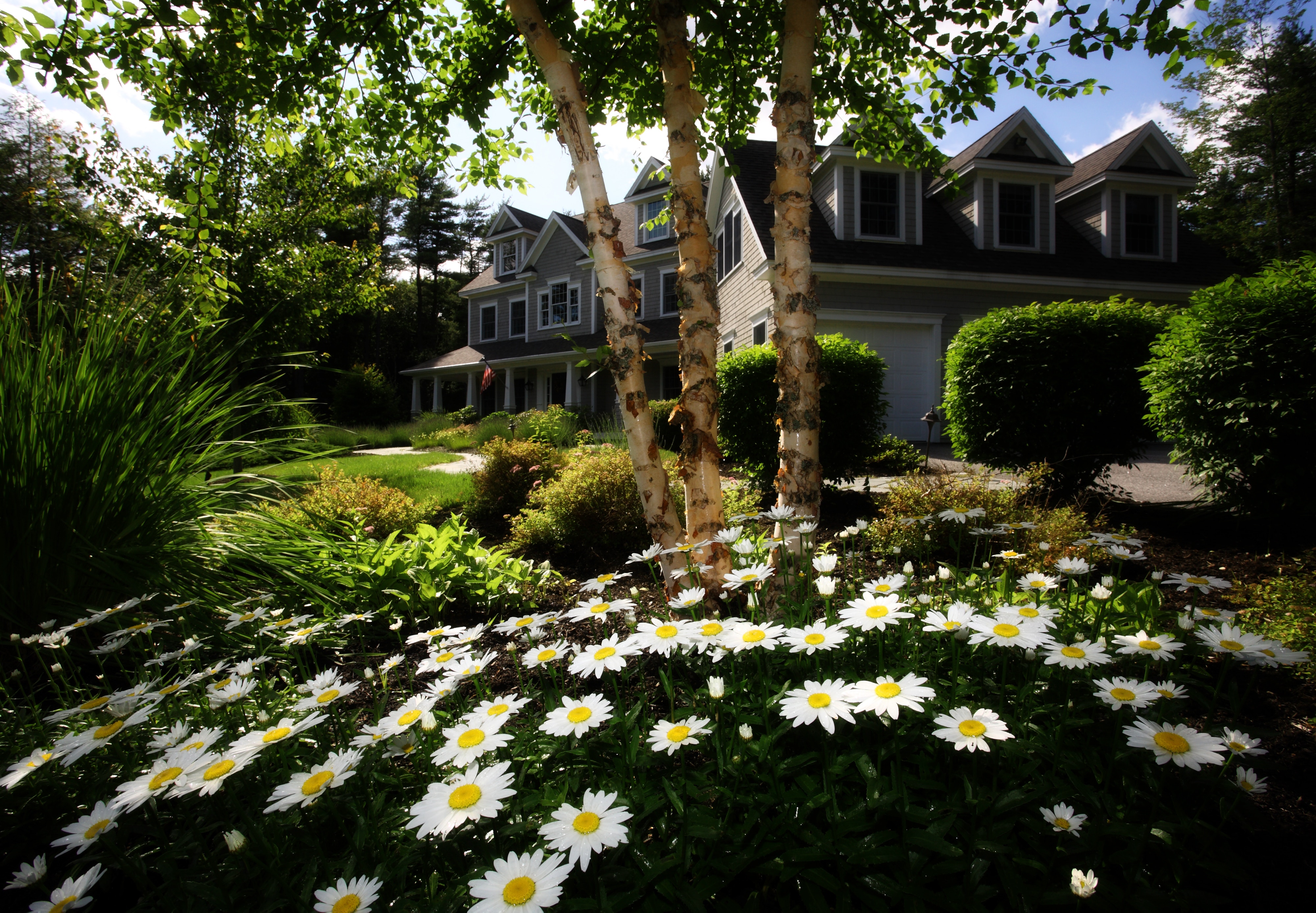 house with flowers